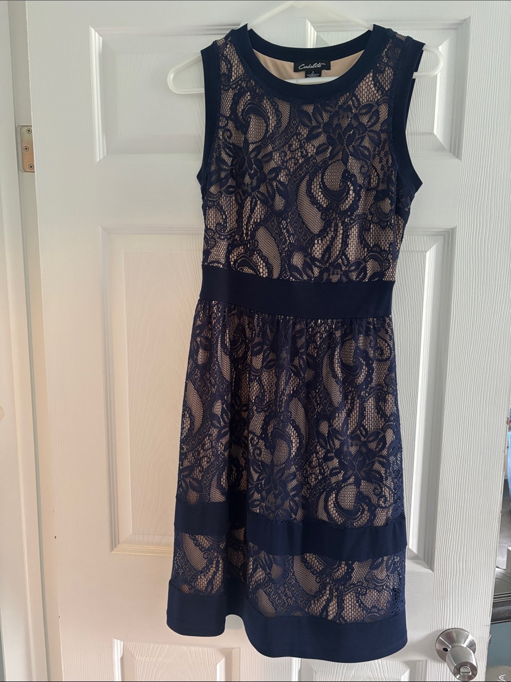 dressbarn Navy Lace Dress with Nude Lining
